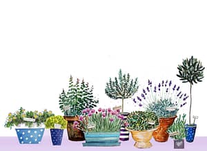 Herb Garden Notecard design